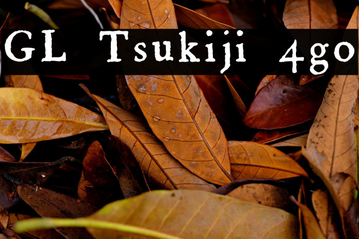 GL-Tsukiji-4go Example 3