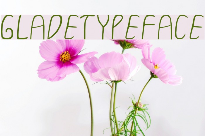 GLADETYPEFACE Font examples