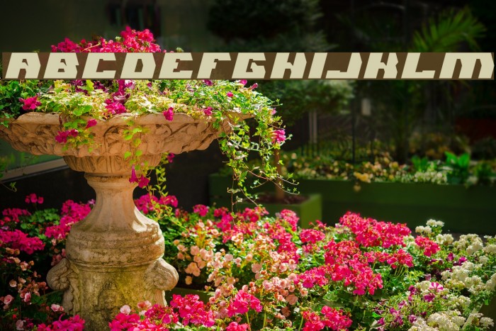 GLADIATOR SPORT-Light Font examples