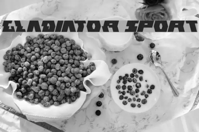 GLADIATOR sport Font examples