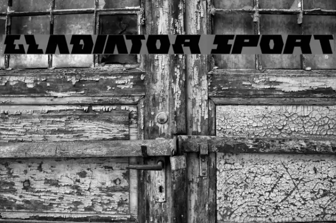 GLADIATOR sport Font examples