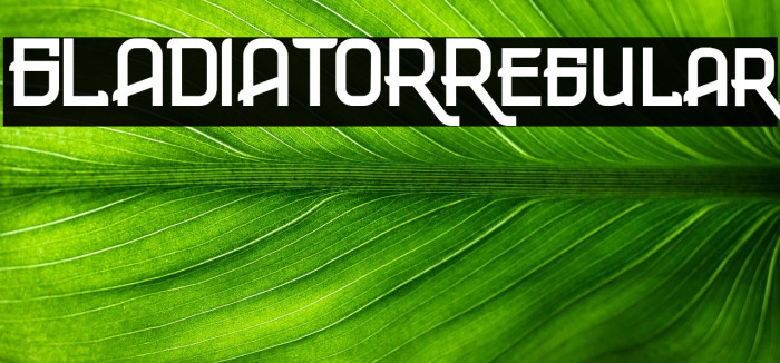 GLADIATORRegular Example 2