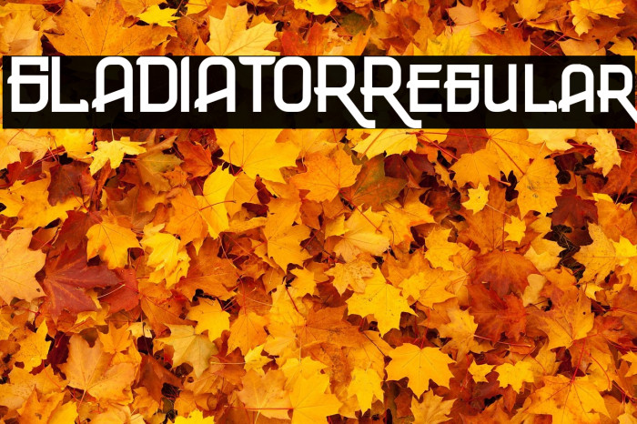 GLADIATORRegular Example 3