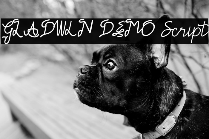 GLADWIN DEMO Script Example 3