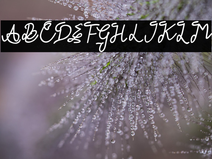 GLADWIN Script Example 2