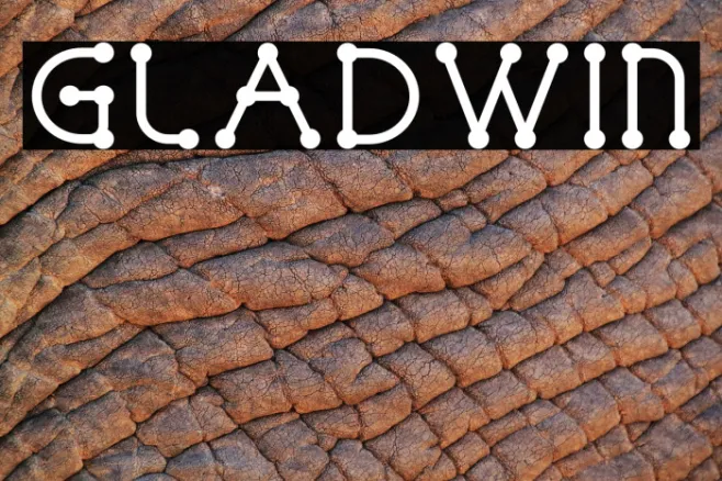 GLADWIN Example 2
