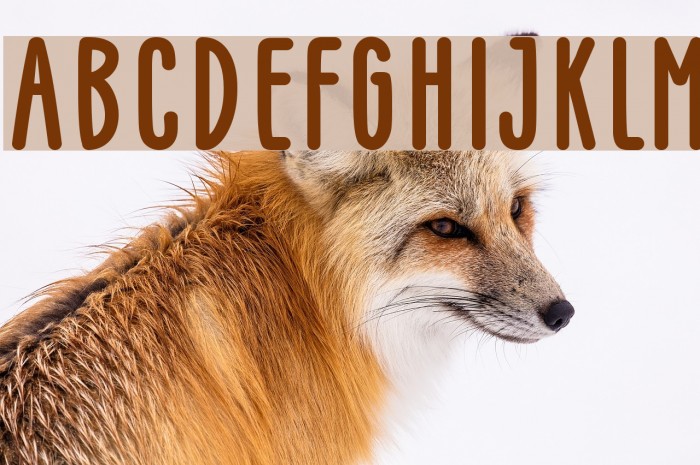 GLARESOME Bold Font examples