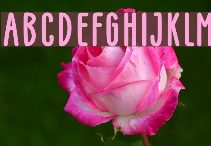 GLARESOME Bold Font examples