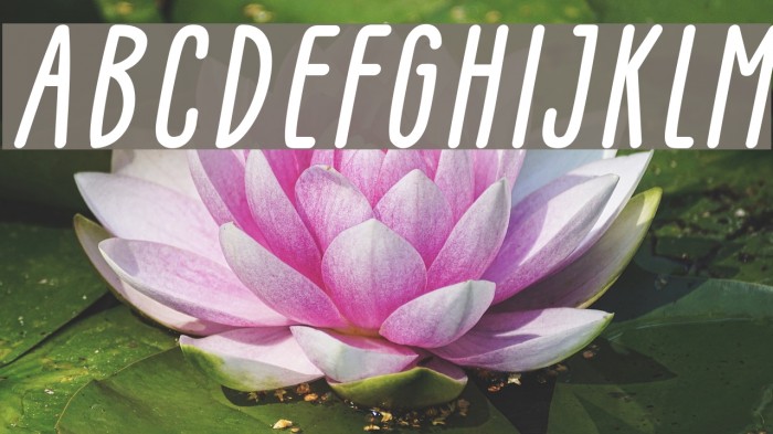 GLARESOME Italic Font examples