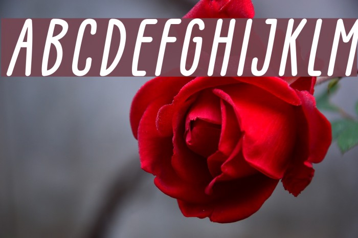 GLARESOME Italic Font examples