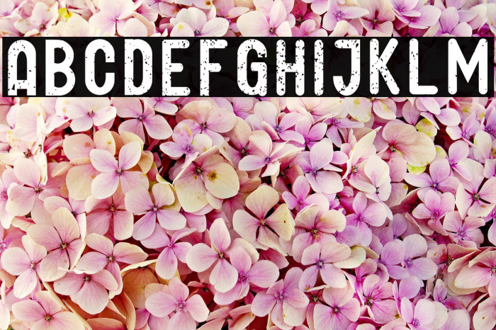 GLIFORD DEMO Grunge Font examples