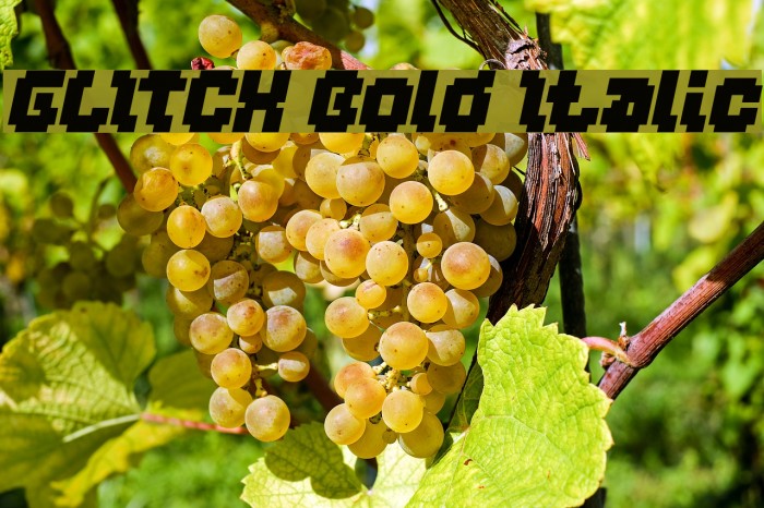 GLITCH Bold Italic Example 1