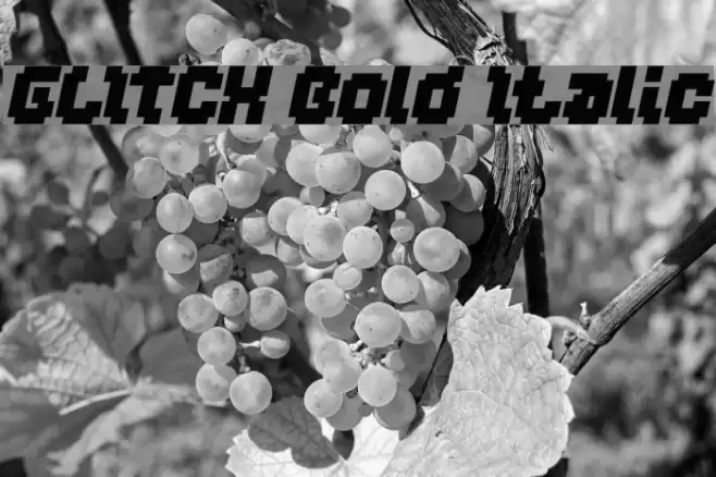 GLITCH Bold Italic Font examples