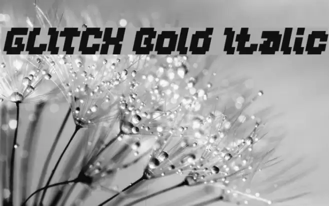 GLITCH Bold Italic Font examples