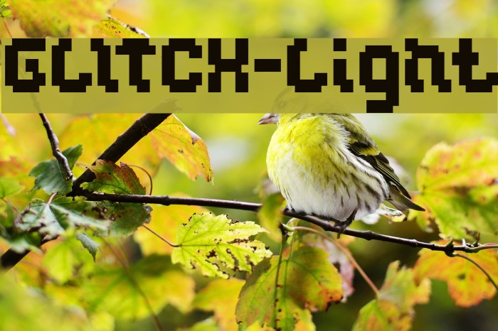 GLITCH-Light Font examples