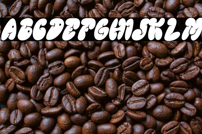 GLOREST SHUFLE Italic Example 1