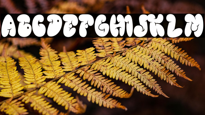 GLOREST SHUFLE Example 3