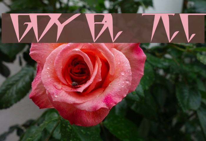 GlOrY BoLd iTaLiC Font examples