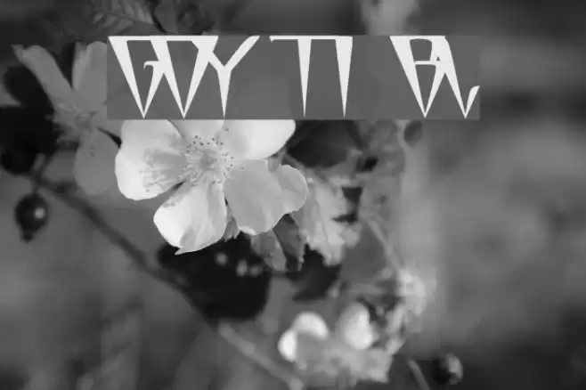 GlOrY ThIn BoLd Font examples