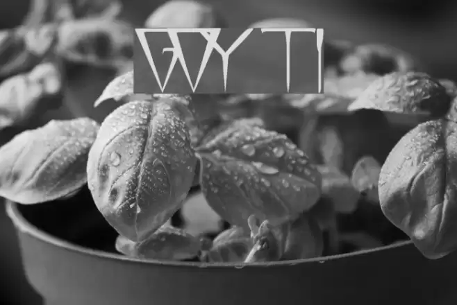 GlOrY ThIn Schriftart examples