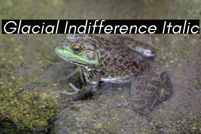 Glacial Indifference Italic Example 3