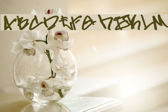 Gladiator Gruel Font examples