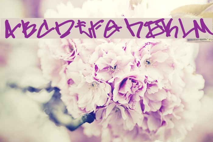Gladiator Gruel Font examples