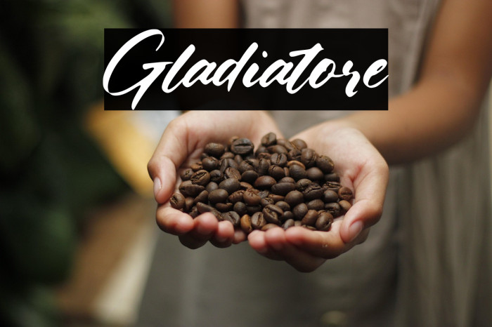 Gladiatore Example 1