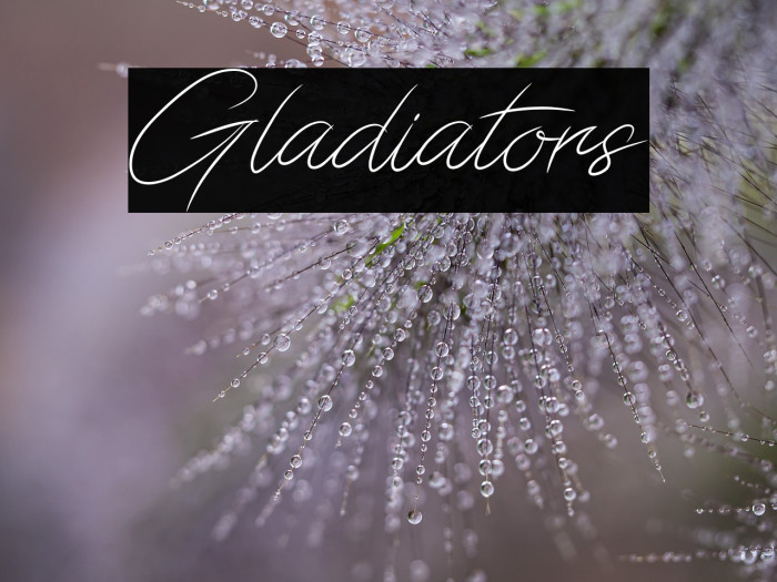 Gladiators Example 1