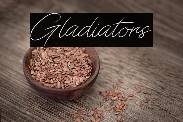 Gladiators Example 2