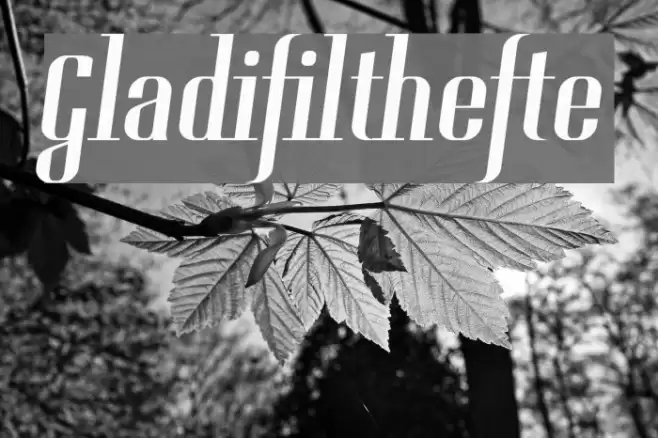 Gladifilthefte Font examples