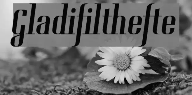 Gladifilthefte Font examples