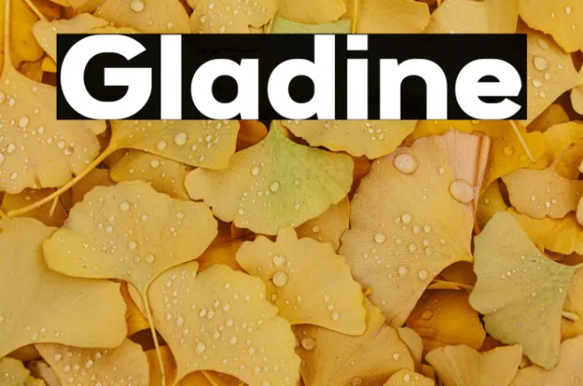 Gladine Example 3
