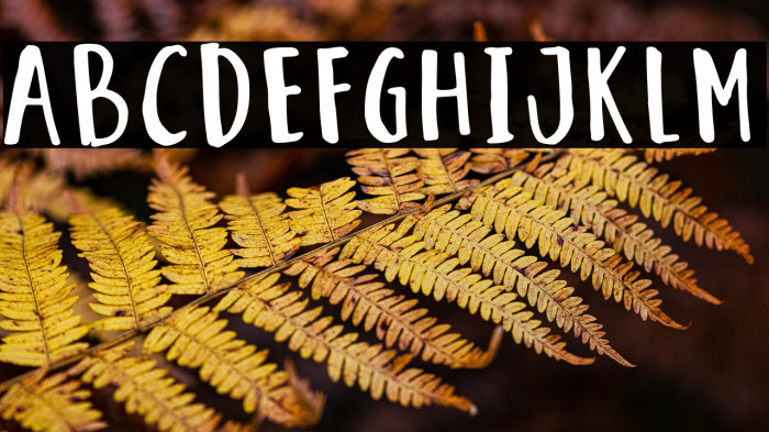 GladiolHazeSansDEMO-Regular Example 2