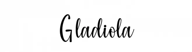 Gladiola  Frei Schriftart Herunterladen