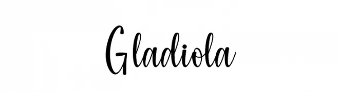 Gladiola  免费字体下载
