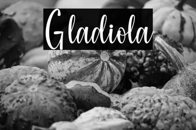 Gladiola Font examples