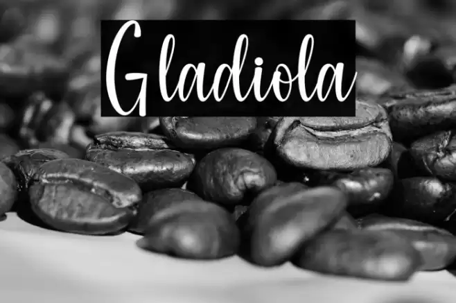 Gladiola Font examples