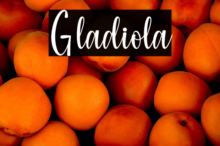 Gladiola Example 3