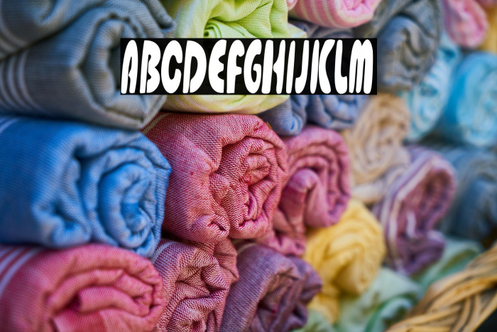 Gladiolus Display Example 1