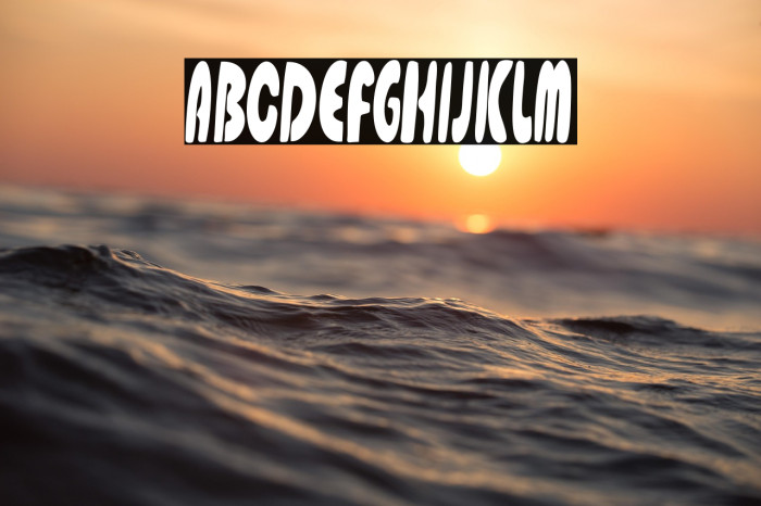 Gladiolus Display Example 3