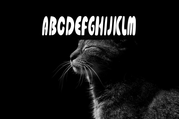 Gladiolus Display Example 1