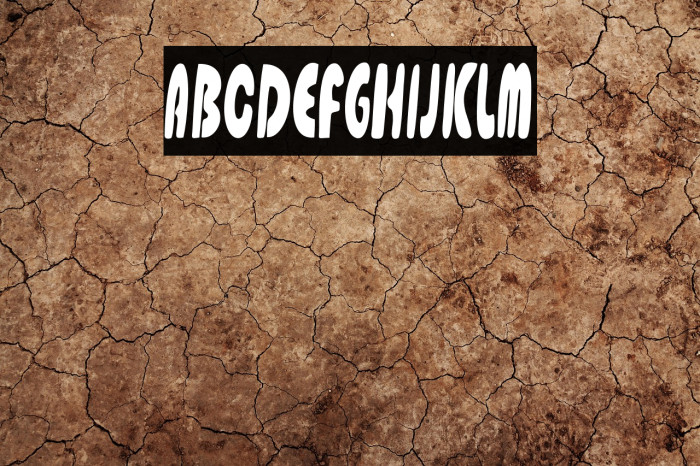 Gladiolus Display Example 2