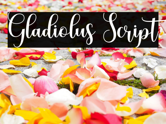 Gladiolus Script Example 2