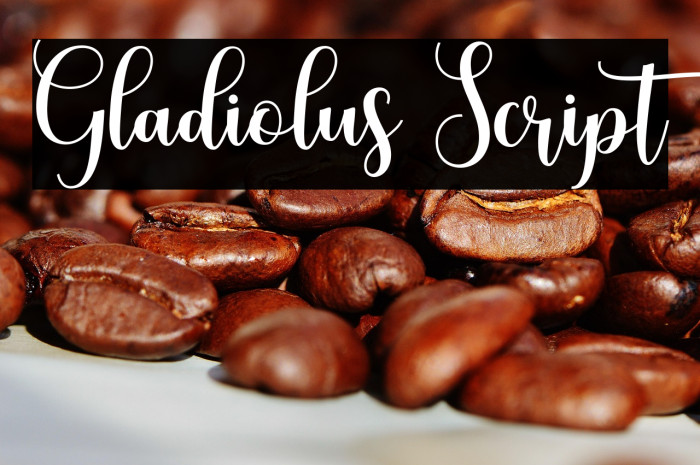 Gladiolus Script Example 3