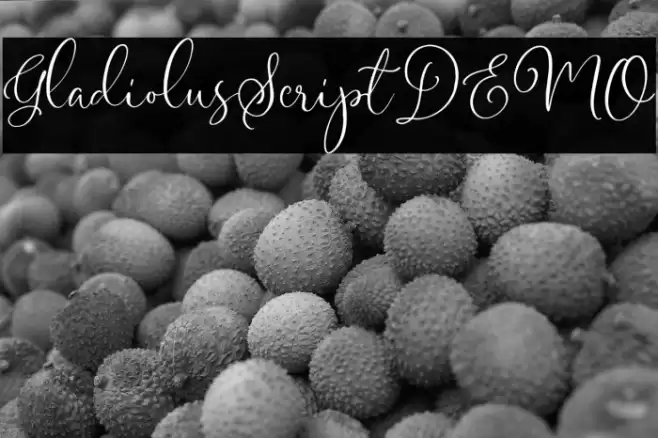 GladiolusScriptDEMO Font examples