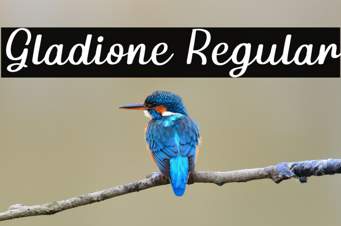 Gladione Regular Example 2