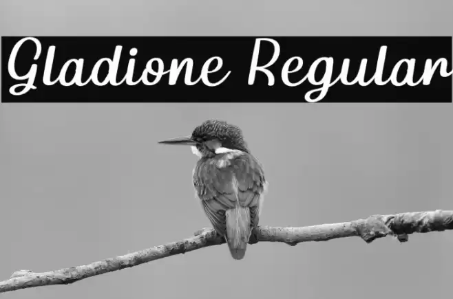 Gladione Regular Font examples