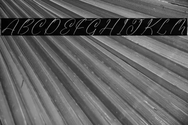 Gladista Arabela Font examples