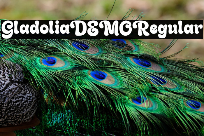 GladoliaDEMO-Regular Example 2